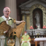 Graphic of Archbishop Dermot Farrell addressing the congregation from the altar stand in the shape of a dove wearing his red yellow and green robe.