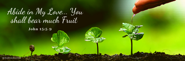 Graphic of three plants in the soil getting watered by an orange watering can with the words in white italics "Abide in My Love, you shall bear much Fruit" which is from John 15:5:9.