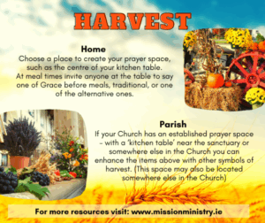 Graphic providing information on how to set up your harvest prayer space at home and in your parish. There are two images one of vegetables and the other of flowers and a pumpkin.
