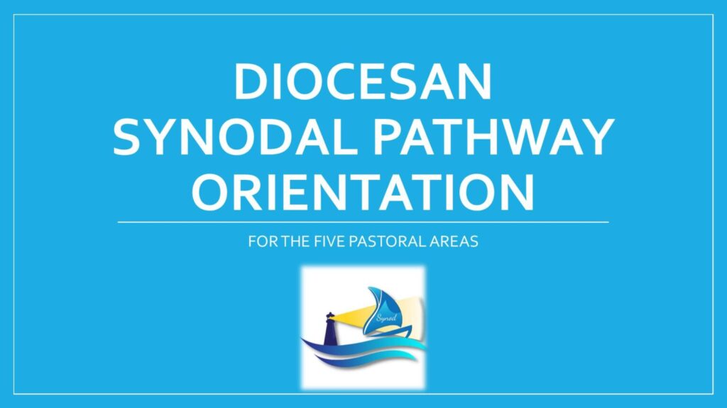 Graphic of a blue background with white writing which says "Diocesan Synodal Pathway Orientation for the five pastoral areas". At the bottom is the synod logo.