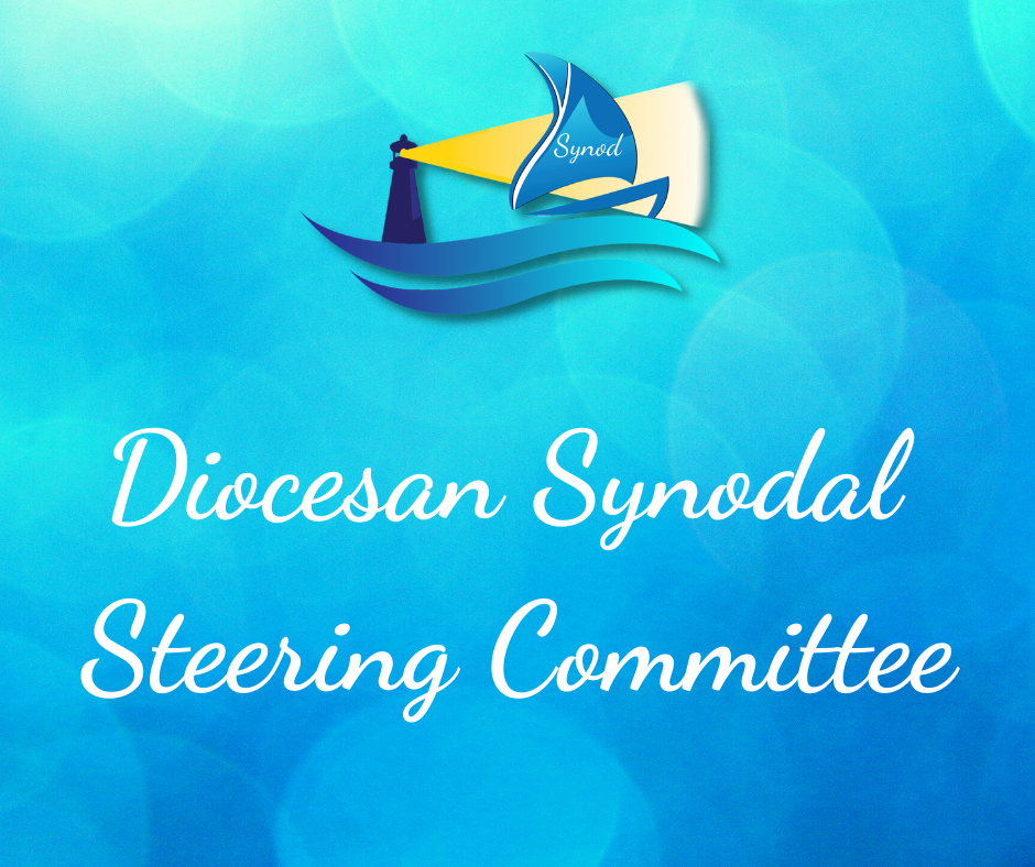 Graphic of the Diocesan Synodal Steering Committee on a blue background of different shades of blue in circles and the synod logo at the top.