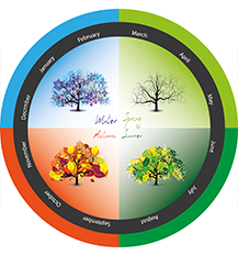 This graphic depicts a ring of the months of the year around four squares of light green, dark green, orange and blue and in every square there is a tree with a different amount of leaves in it. For example from March to May the tree is bear. This is showing the cycle of leaves on deciduous trees throughout a year. In the centre of the squares are the words winter, spring, autumn and summer which correlate to the months in the ring.