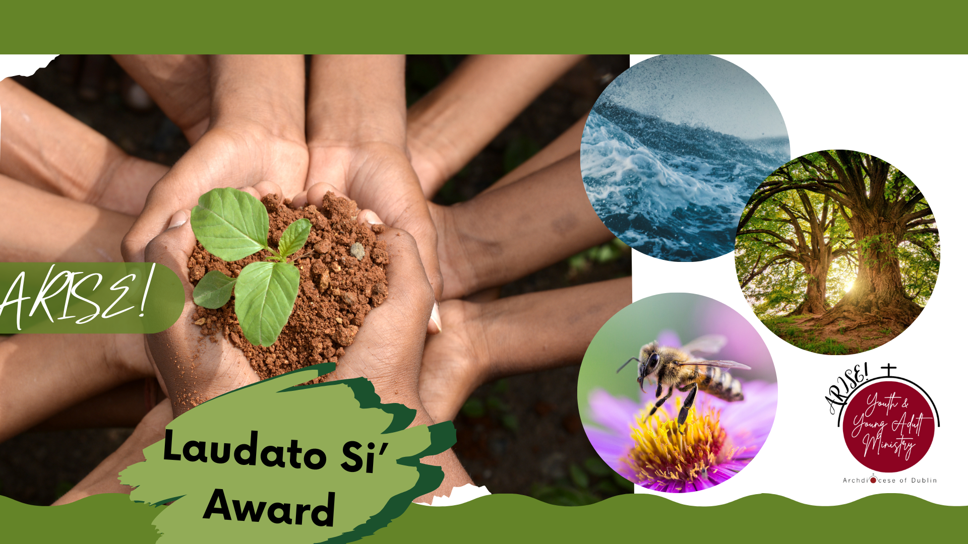 Poster about the Laudato Si' Award containing image of; the sea, a bee, trees and people planting shrubs